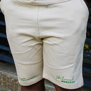 Sneaky Link Shorts